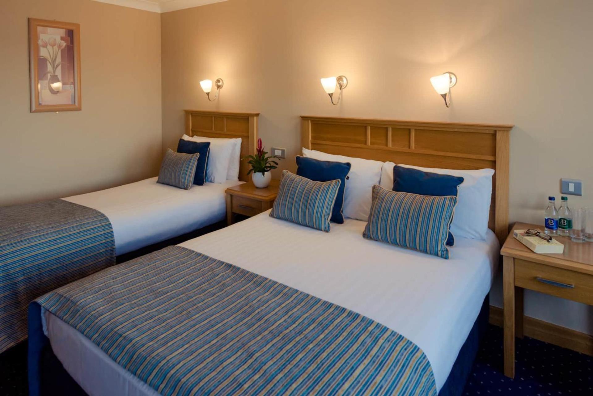 Rochestown Lodge Hotel دون لاوجير المظهر الخارجي الصورة